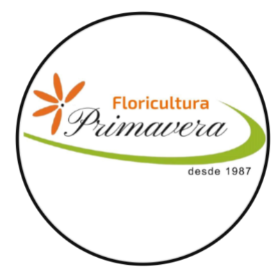 Floricultura Primavera Caldas Novas GO